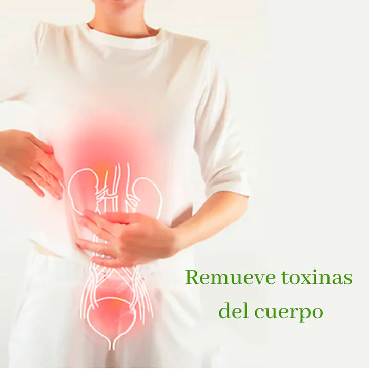 🌱KINOKIS™ Parches Desintoxicantes (Pide 10 y Lleve 20)