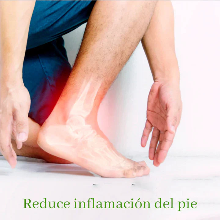 🌱KINOKIS™ Parches Desintoxicantes (Pide 10 y Lleve 20)