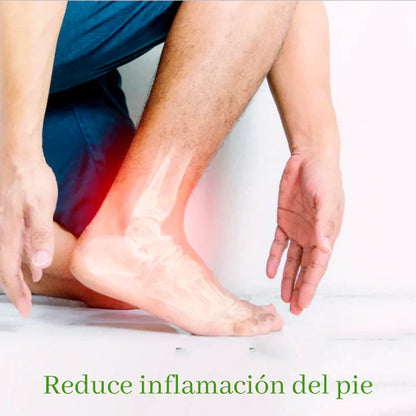 🌱KINOKIS™ Parches Desintoxicantes (Pide 10 y Lleve 20)