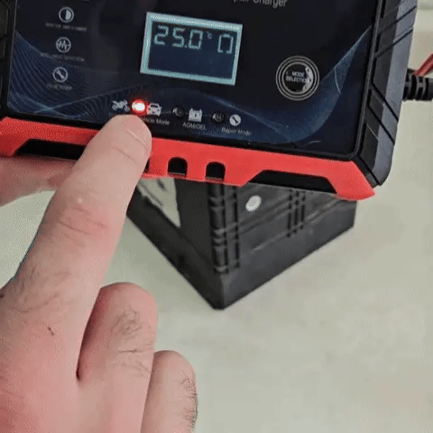 Cargador Reparador de baterias 12V